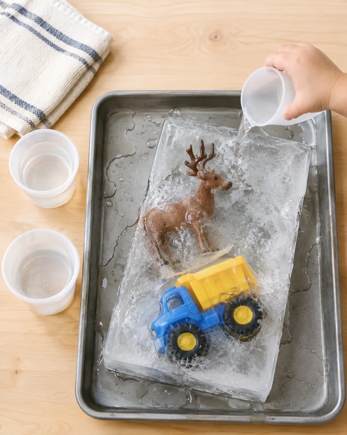 A large ice block on a tray with big plastic toy reindeer and a chunky toy truck frozen inside, small cups of warm water and a toddler's hand pouring